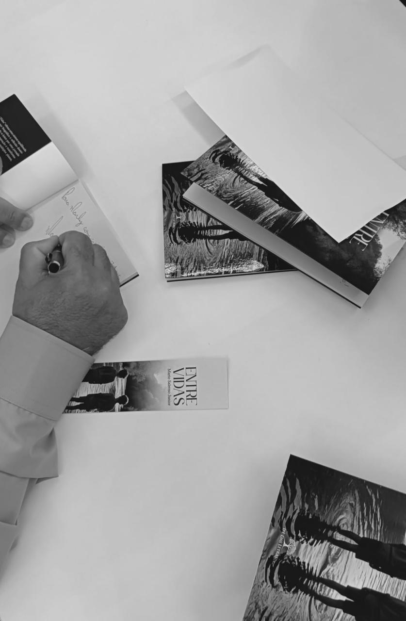 Livro Entre Vidas - Imagem 7